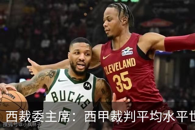 西裁委主席：西甲裁判平均水平世界最佳，误判难免